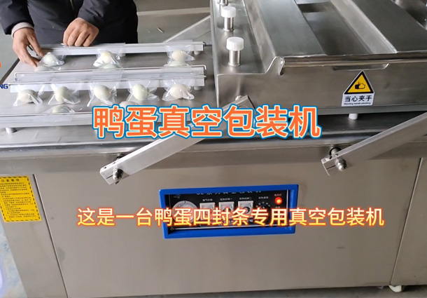 鸭蛋真空包装机